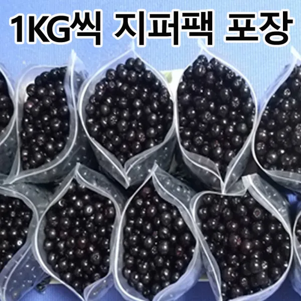 [입점기념 ] 특품 줄기제거 햇아로니아생과 3kg 5kg, 10kg 첫 수확 아로니아, 생과3kg(1kg x3봉지)