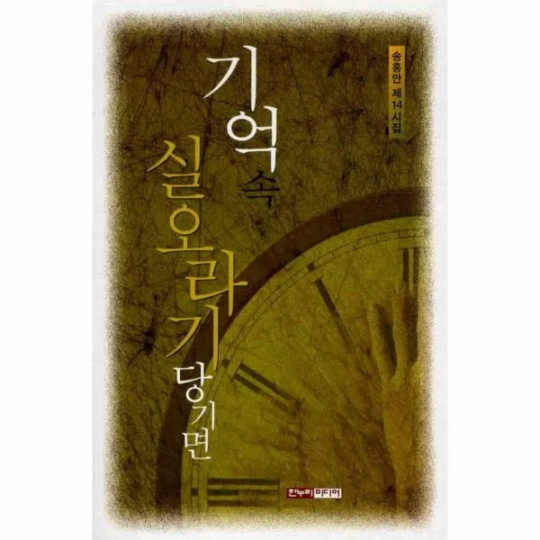 이노플리아 기억 속 실오라기 당기면, One color | One Size@1