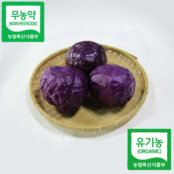 [산세로]친환경 적채 1kg, 1개