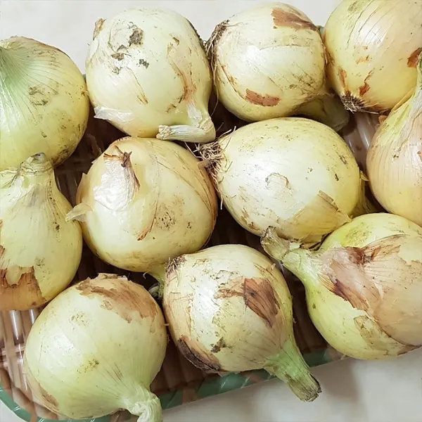 햇양파 해풍 맞고 자란 단단한 거금도양파3kg/5kg, 3kg