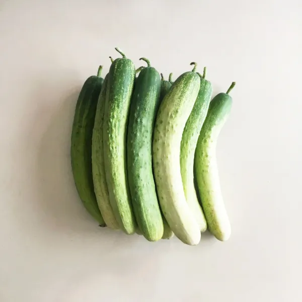 개미마켓 10개 20개 10kg 국산 한박스 특품 백 다다기 오이 1박스 10kg