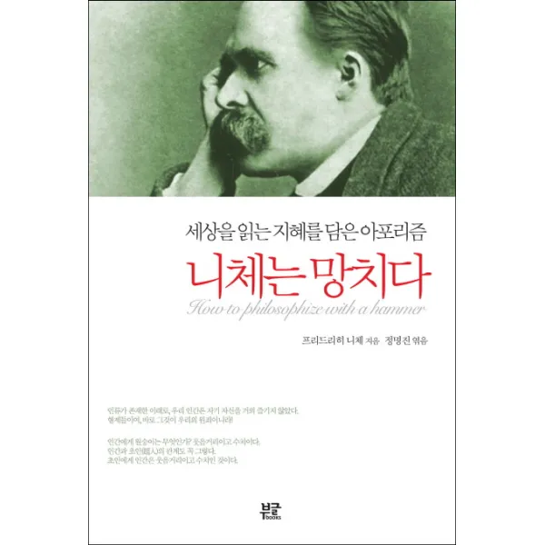 니체는 망치다:세상을 읽는 지혜를 담은 아포리즘, 부글북스
