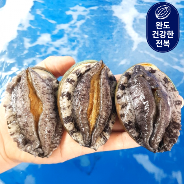 [건강한전복] 완도 활전복 특대 1kg 산소팩 (3시주문당일출고), 10번. 21-30미사이즈