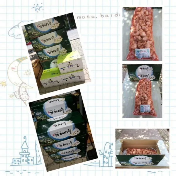 남해마늘 남해햇마늘, 1box, 10kg