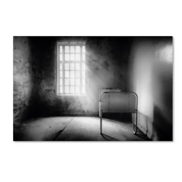 The Asylum Project-Empty Bed Artwork by Erik Brede 16 by 24-Inch Canvas Wall Art 망명자 프로젝트 - 에릭 브레 데, 1