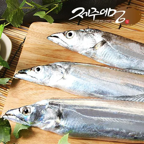 기타 [제주어멍] 제주직송 손질 은갈치 10마리 (총30토막/1.6kg), 1