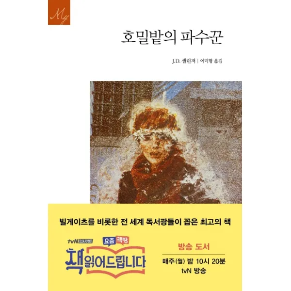 호밀밭의 파수꾼 문예출판사