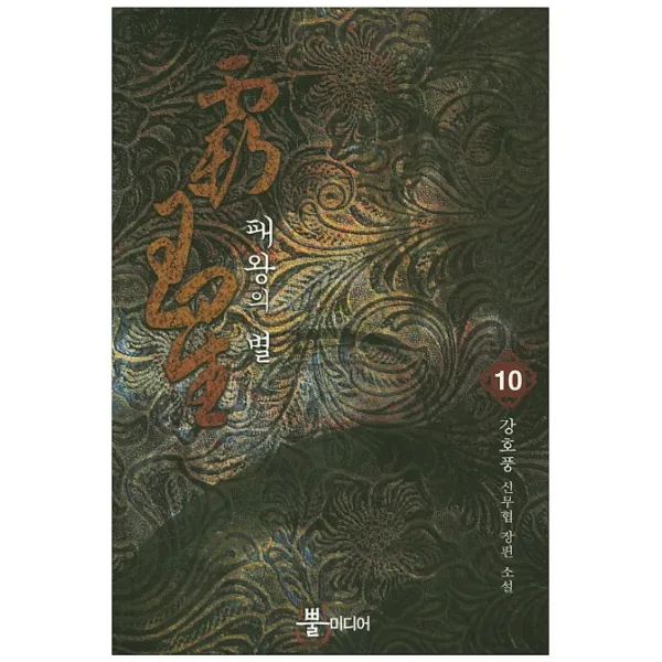 패왕의 별. 10:강호풍 신무협 장편 소설, 뿔미디어