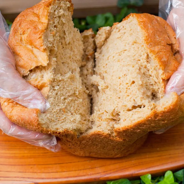 셋째딸농부 현미통밀식빵믹스 곡물빵 우리밀건강빵믹스, 350g, 2봉
