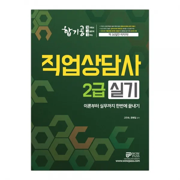 2020 합기공 직업상담사 2급 실기 마스크제공 단품