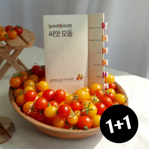 [재배의 정석] 파쯔파쯔 토당무 6종 씨앗모둠 교육용 토마토 당근 무 키우기, 쌈채소용(1+1행사)