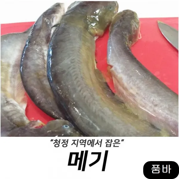 고기 잡아 내장손질한 민물메기 1kg 고등어 건어물 신선식품, 1개