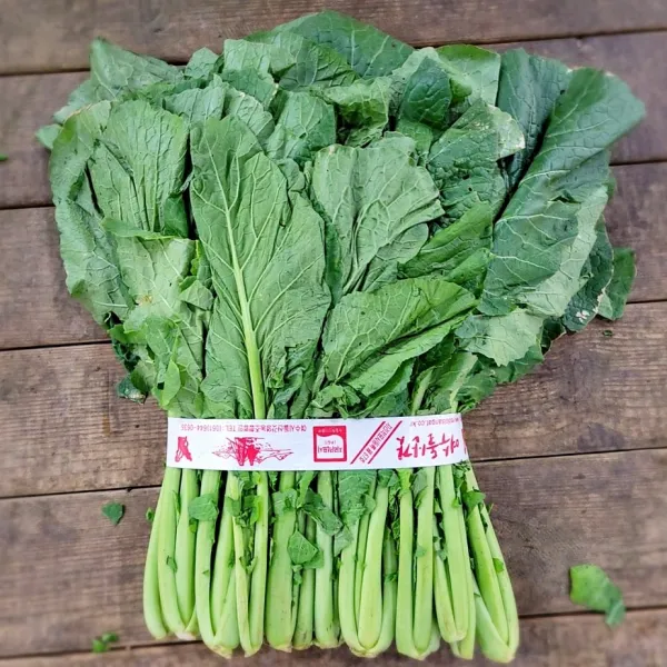 여수 돌산갓 생갓 햇갓 5kg 10kg 노블프레쉬, 여수돌산갓 5kg