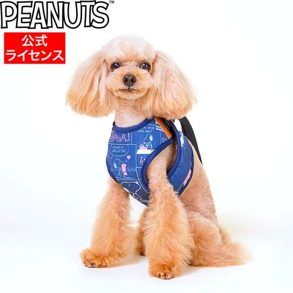 peanuts 땅콩 snoopy 스 누 피 모체 선 빔 통 만화 풀 플 라 워 중형 견 용, 1개, 상세설명참조 상품 문의는 상품 문의란에 적어주세요