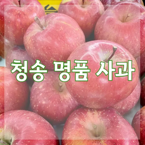 산지직송 청송 꿀 사과 부사 햇 사과 직거래 5kg 10kg 중과 대과 특대과 가정용 선물용 선물세트 (15과수~22과수), 1. 부사 5kg (20과 이상)