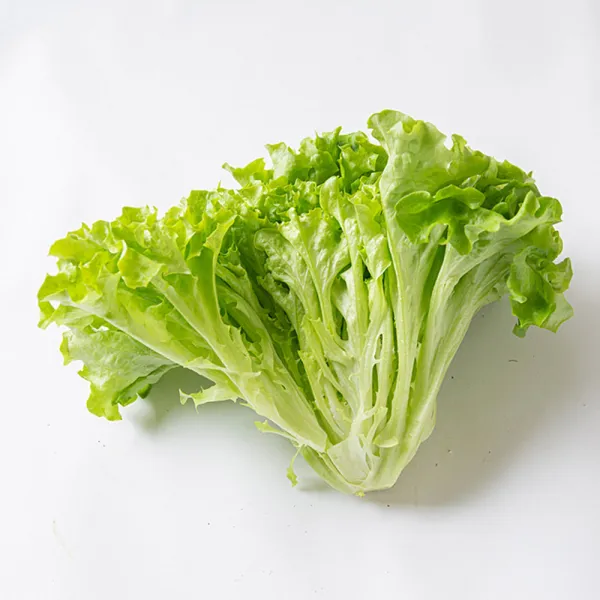 멀티리프 1kg 이자벨 멀티립, 멀티리프 1Kg