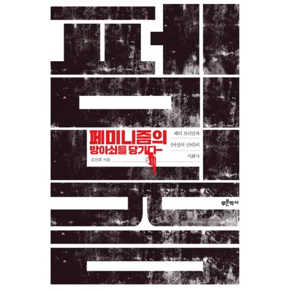 페미니즘의 방아쇠를 당기다:베티 프리단과 《여성의 신비》의 사회사, 푸른역사
