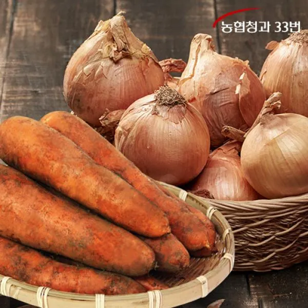 농협 [농협청과33번] 신선한 양파 2kg 특 + 당근(즙용) 3kg, 1
