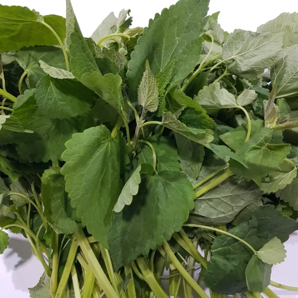 일등야채 국내산 방아500g, 1봉, 500g