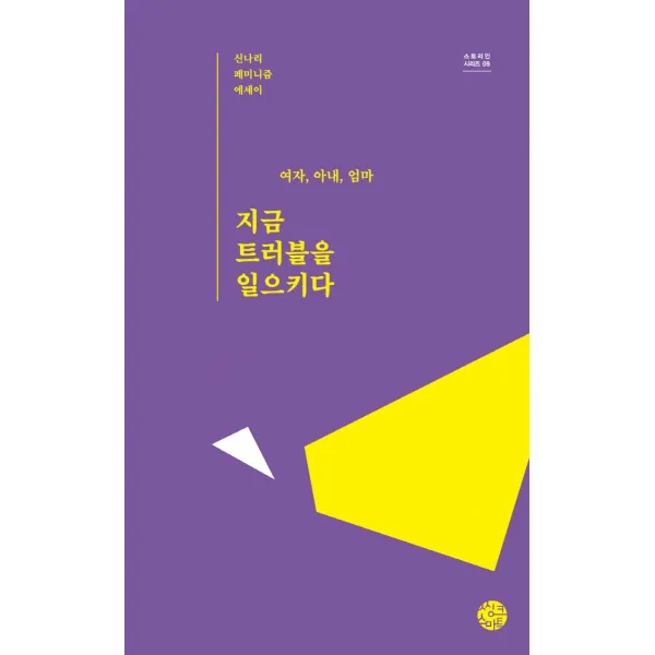 여자, 아내, 엄마 지금 트러블을 일으키다:신나리 페미니즘 에세이, 신나리 저, 씽크스마트