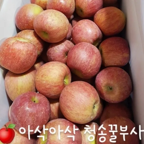 청송 산지 햇부사!!! 아~삭 새콤달콤한 부사 사과!!! 2kg / 5kg / 10kg, 소과 5kg(28~33개)