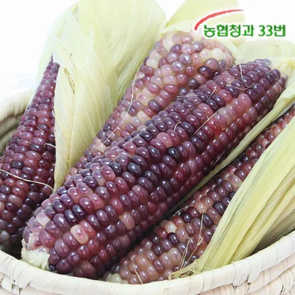 농협 [농협청과33번] 쫀득쫀득 햇 흑찰옥수수 30개 (17cm내외), 1
