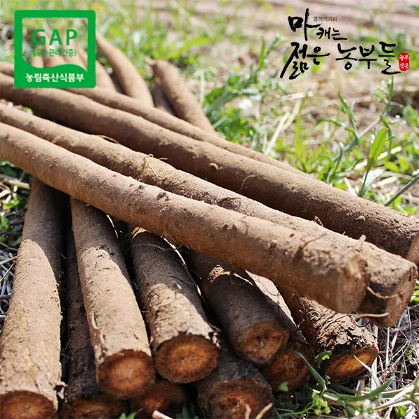 (무료배송)GAP인증 안동 우엉 알뜰품(반찬용/차용) 4kg, [우반4] 우엉 반찬용(새끼손가락)4kg