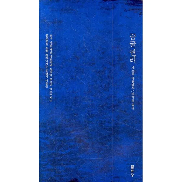 꿈꿀권리:모네 샤갈 세갈 바로키에 칠리다 코르티 마르쿠시스, 열화당