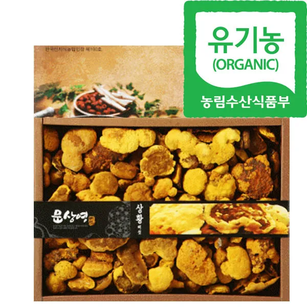 문상영버섯농장 유기농 상황버섯 알뜰용 1kg 1개