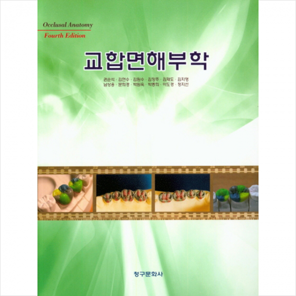 청구문화사 교합면해부학-제4판 +미니수첩제공