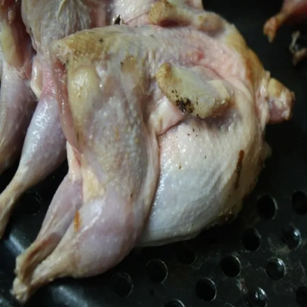 바다베개 메추리 메추라기 생물 생지메추리 750g 10마리, 맛좋은 생지메추리 10마리 (750g)