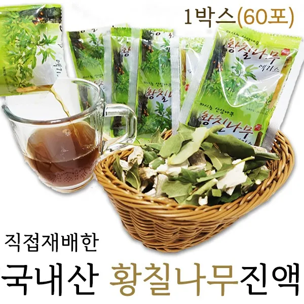 불로초황칠나라 황칠잎 가지액기스 황칠액기스 70ml 60포, 60팩