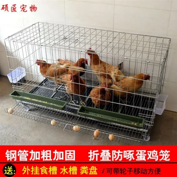 새장 양식 전 닭장 케이지 가정용 큰사이즈 특대사이즈 닭을기르다 철 자동 난용종 아래 우리 2894244315, 지역 :광둥 산둥성 안후이