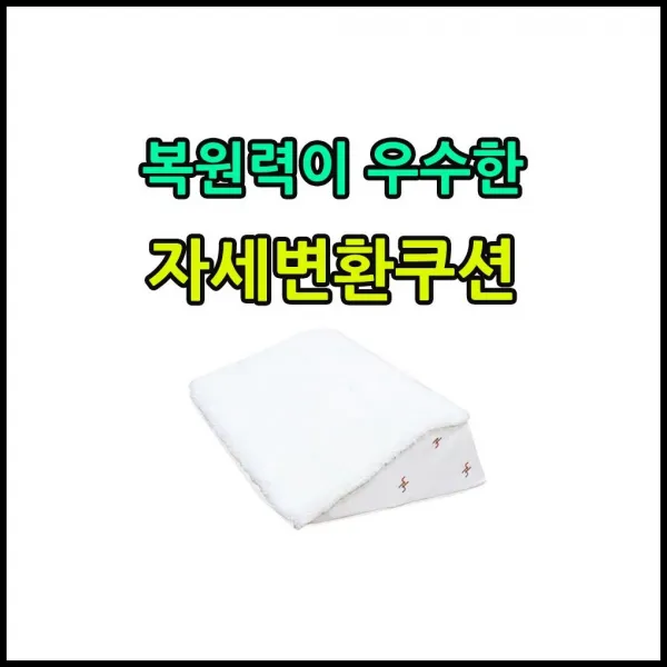 거동이 불편한 분들을 위한 라텍스 양 모 삼각쿠션 생활용품 stnd, 1개