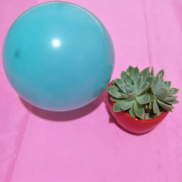 풍선 라쿠텐 오촌 둥근공 혼합식 단색 세트 신혼방 인테리어 플라스틱 이륙허락 전용 200개별포장, T21-스킨핑크