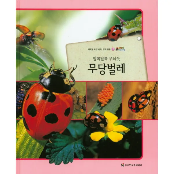 알록달록 무늬옷 무당벌레:테마별 자연 나라 생태 탐구, 한국슈타이너