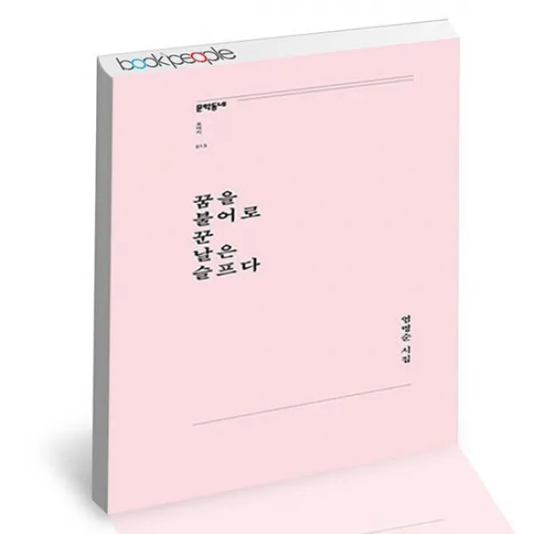 꿈을 불어로 꾼 날은 슬프다 / 문학동네 시 책, 상세설명 참조, 없음