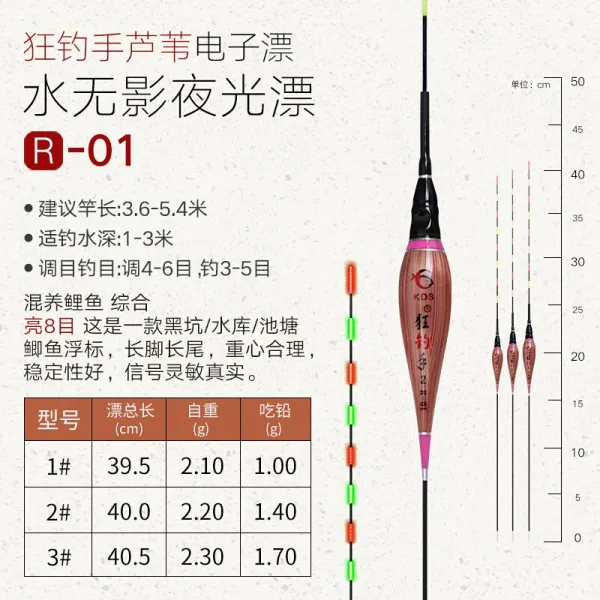 광분 의 낚시꾼 야광 표류 무 영 초 번쩍번쩍 한 낚시꾼 갈대 전자 표류 높 은 민감 도 붕어 표류 잉어 표류 밤 낚시대 부표 R - 01 번지 1 개