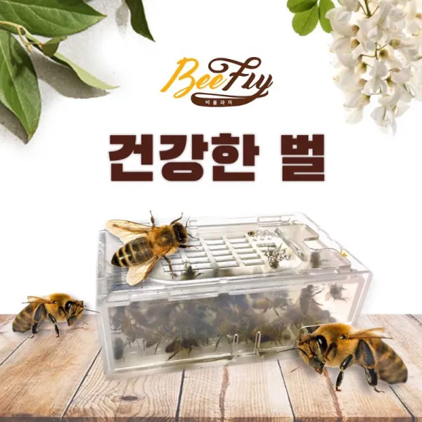 비플라이 벌침 봉침 벌침벌 봉침벌 영양먹이, 120마리