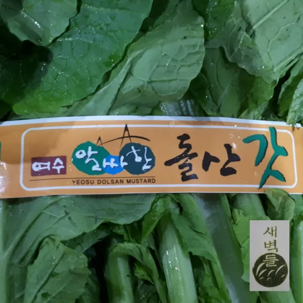 새벽들 여수 돌산갓1kg, 1봉, 1kg