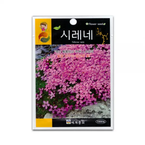 모칸도 (무배)세계 시레네 꽃씨 1000립