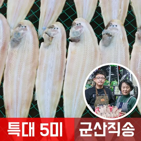 맛나젓갈건어물 군산 반건조 박대 서대 5미 특대 사이즈 박대구이, 5개
