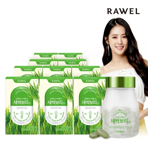 로엘 새싹보리정 500mg X 60 60 10통
