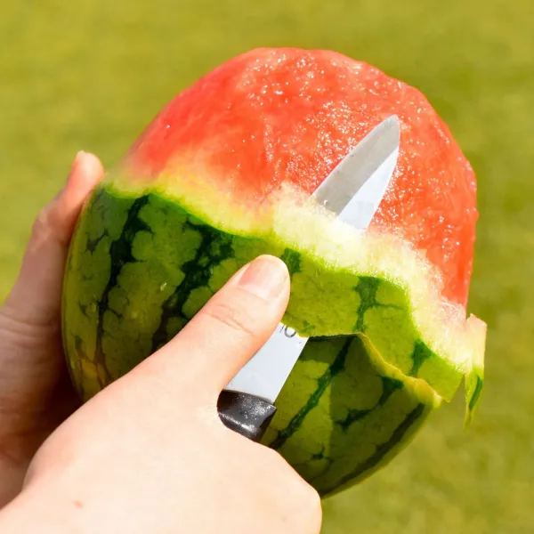 델푸릇 애플수박 특품 로얄과 1~4수 논산 수박, 1개, 특 2통 (2kg 이상)