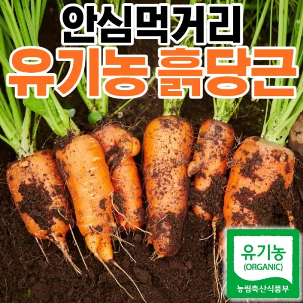 맛집사 유기농 당근 무농약 흙당근 친환경 국내산 햇당근 쥬스용 업소용당근 가정용당근 3kg 6kg 10kg