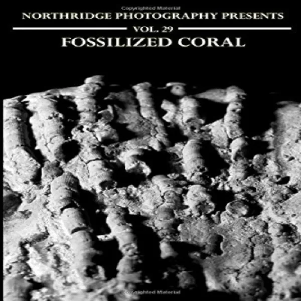 Paperback Fossilized Coral (Northridge Photography Presents) 문고판 화석화 된 산호 (Northridge Photography, 1