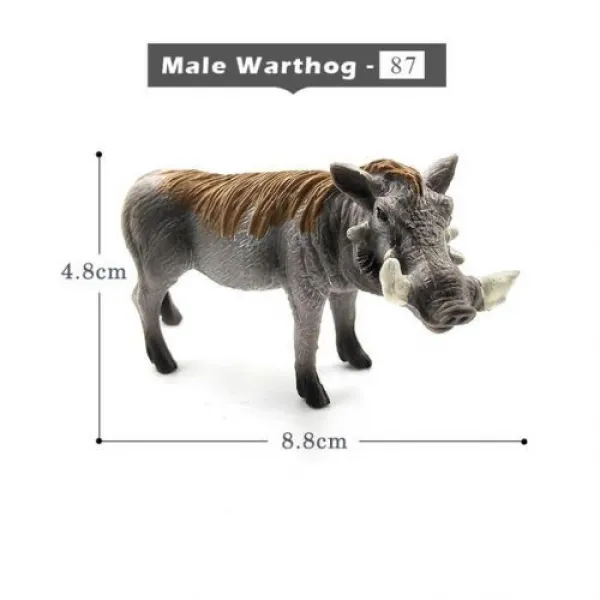 [해외] 사슴 Warthog 살쾡이, Male Warthog