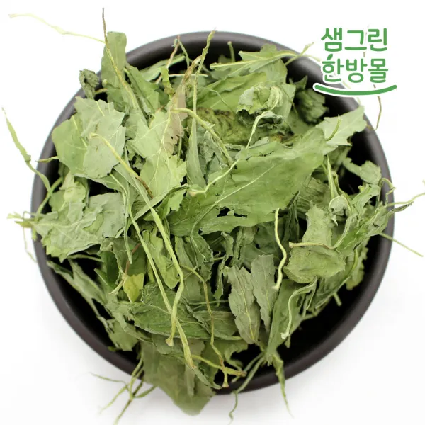 곰보배추 A급 300g 국내산 설견초 배암차즈기, 단일상품, 단일상품