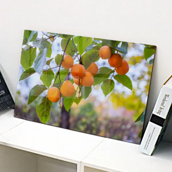  바보사랑 아크릴액자_돈부르는감나무 대형 이미지2