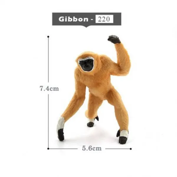 [해외] 사슴 Warthog 살쾡이, Gibbon